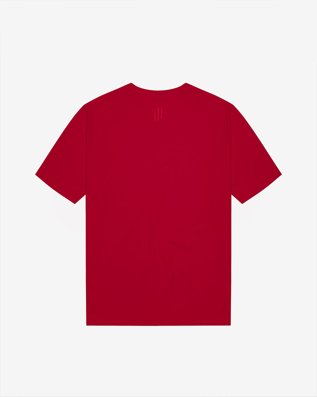 VC: GB-WLS - Vintage T-Shirt - Wales